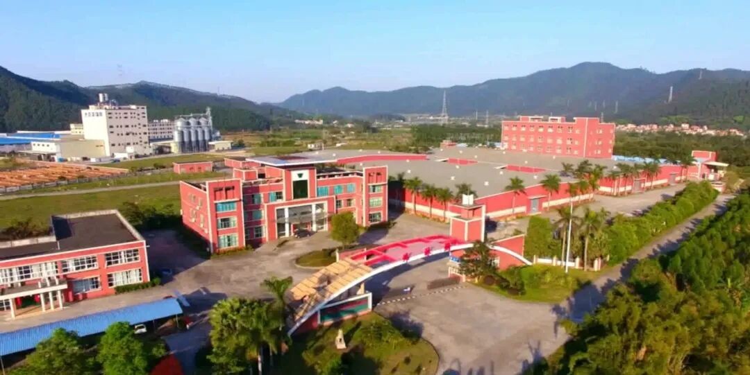 公司全貌